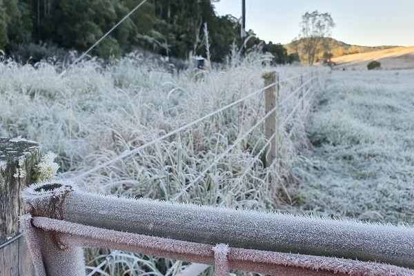 Glace et givre sur la clôture et l'enclos d'une propriété bovine dans le nord du Queensland
