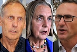 A composite image showing Bob Brown, Lee Rhiannon and Richard di Natale.