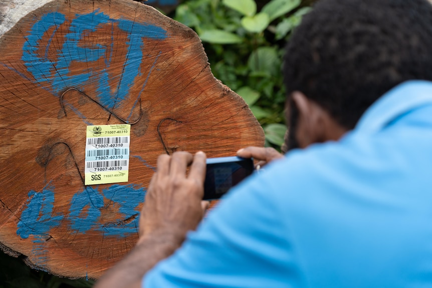 A man with a camera takes a photo of a log.