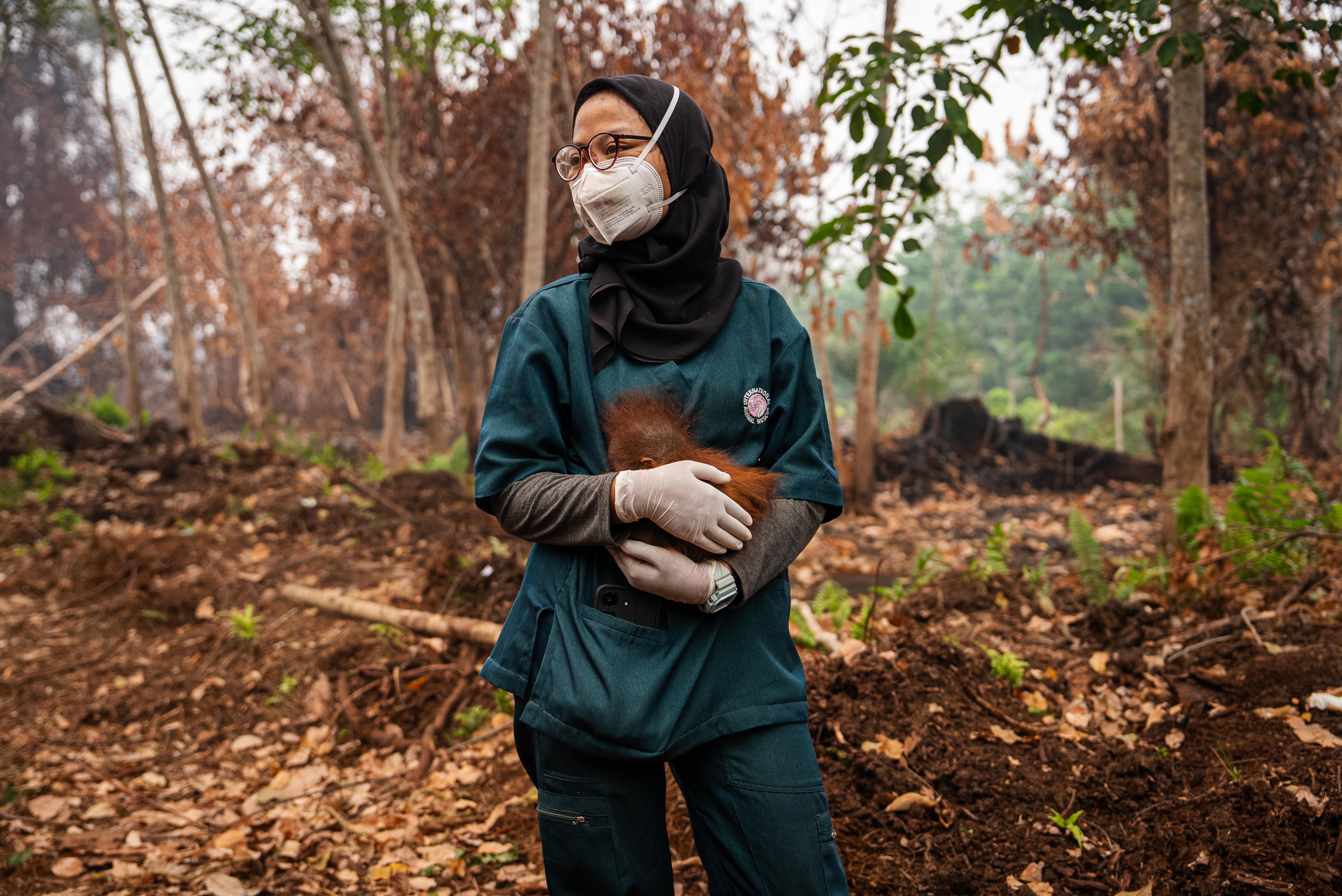 Inside the mission to save critically endangered orangutans from fire
