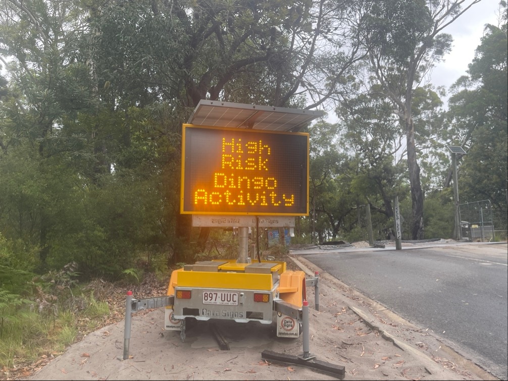 A road side sign says "high risk dingo activity'.