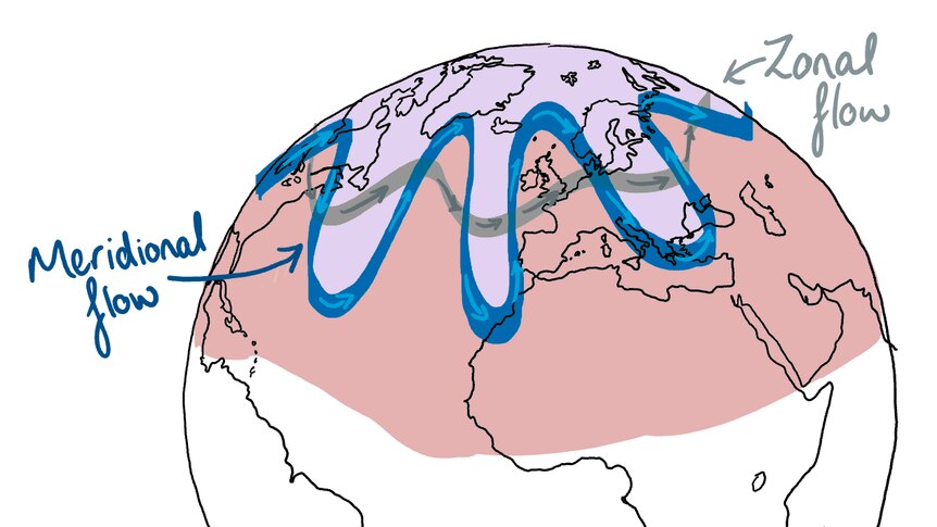 Drawing of the globe with one slightly wiggly jet stream (zonal flow) and one very wiggly jet stream (meridional flow.)