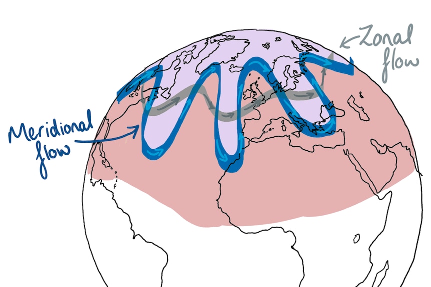 Drawing of the globe with one slightly wiggly jet stream (zonal flow) and one very wiggly jet stream (meridional flow.)