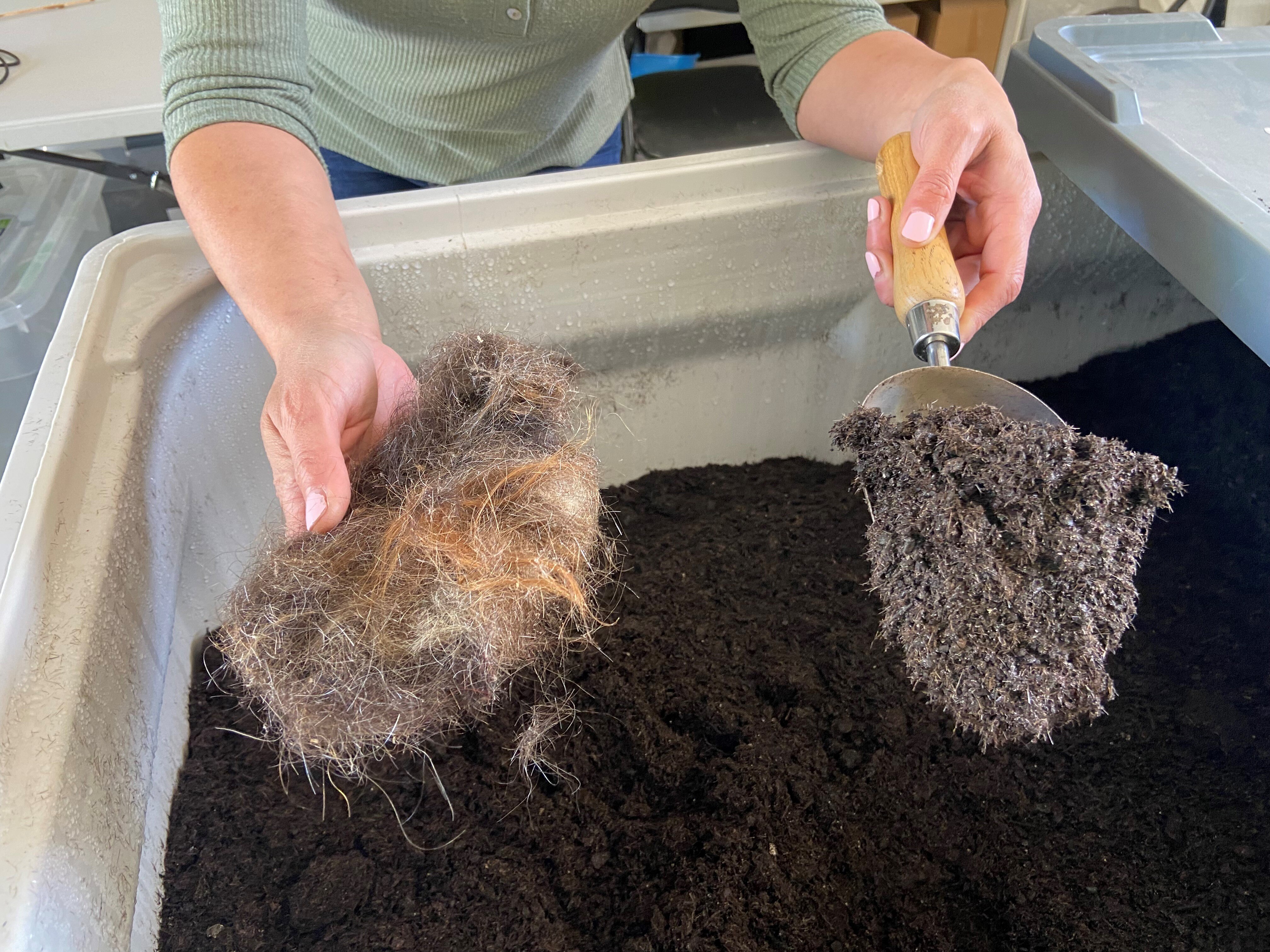 A clump of hair on the left and soil on the right 