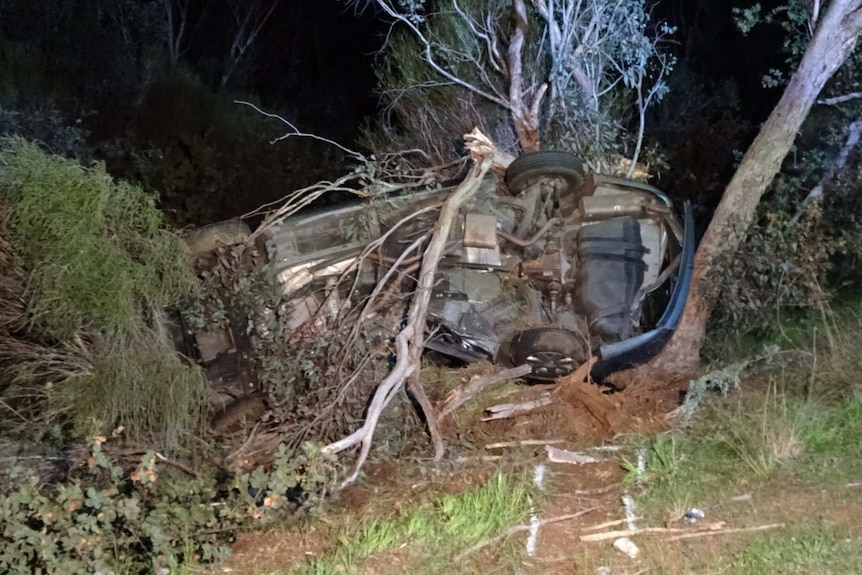 A car lies on its side after crashing into a tree, with its undercarriage showing.