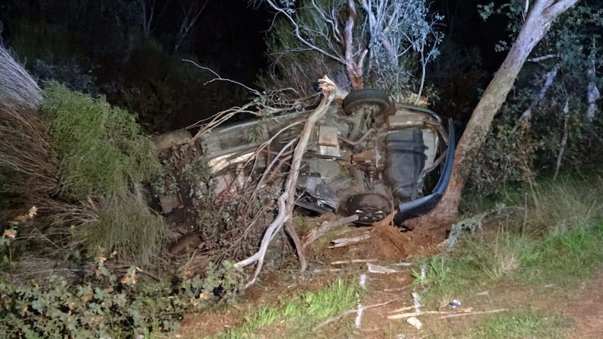 A car lies on its side after crashing into a tree, with its undercarriage showing.