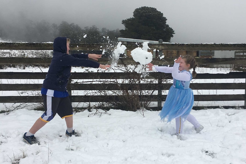 Alex and Ivy Wilson have a snowball fight near Huonville