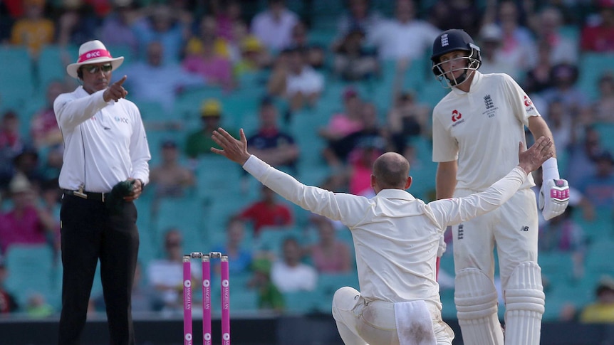 Nathan Lyon successfully appeals for an LBW