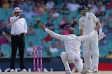 Nathan Lyon successfully appeals for an LBW