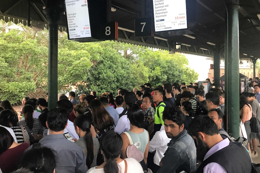 Huge crowds at Strathfield train station