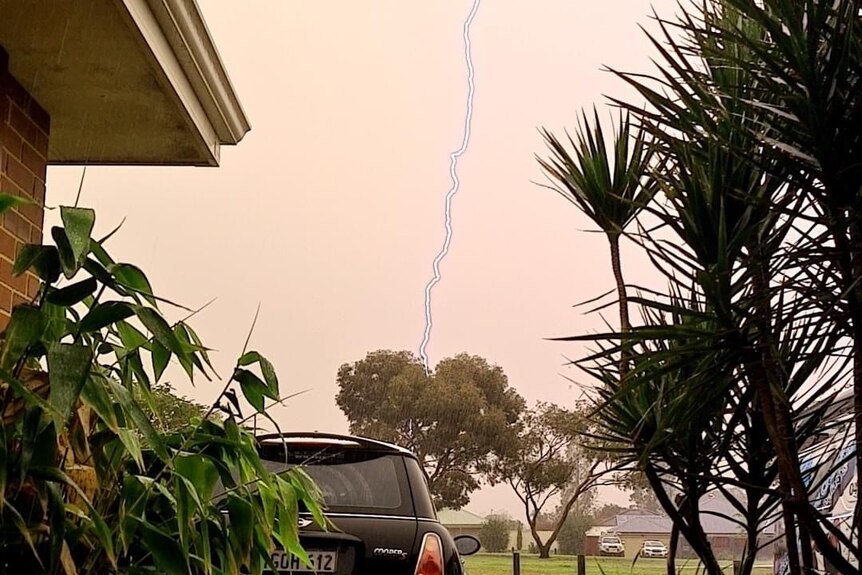 A streak of lightning connecting to the ground in a suburban area with trees and houses around.