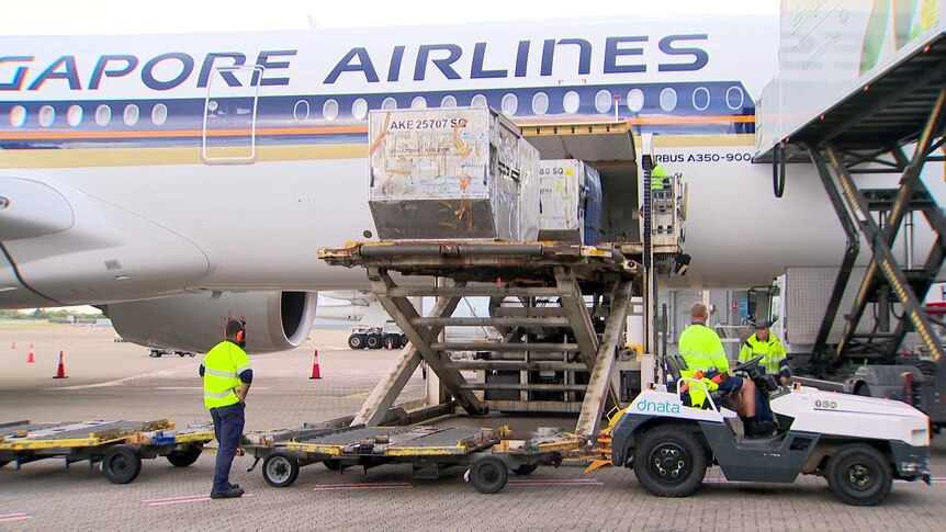 People in high-vis shirts use machinery to unload two containers from a plane.