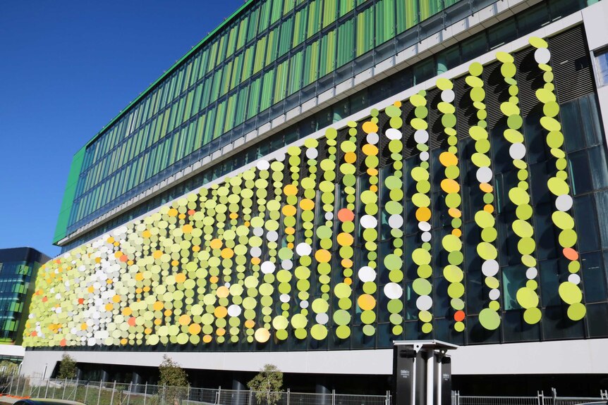 The side of the Perth Children's Hospital with The Fizz, an artwork of hundreds of circular green-coloured panels.