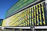 The side of the Perth Children's Hospital with The Fizz, an artwork of hundreds of circular green-coloured panels.
