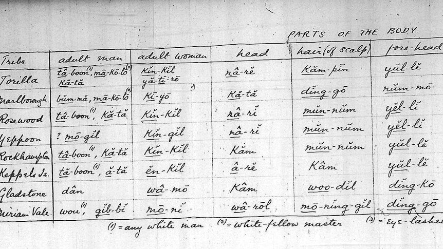 A list of words in Aboriginal language written from early last century