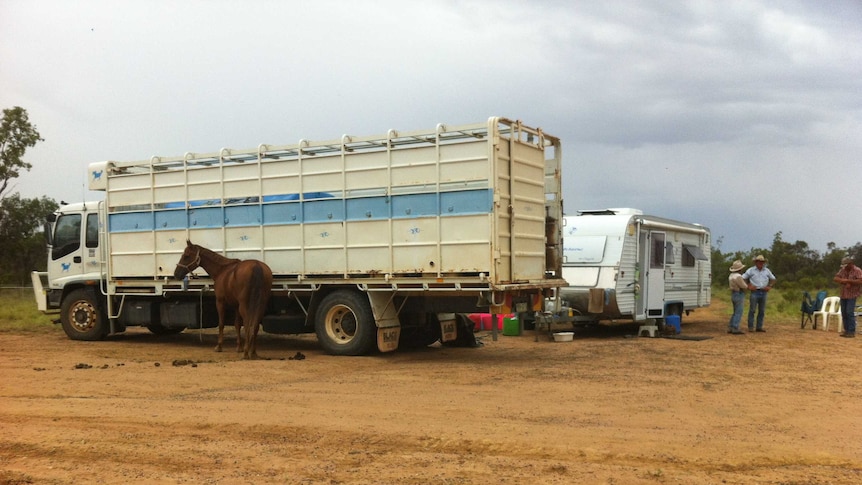 Cattle truck, horse and caravan