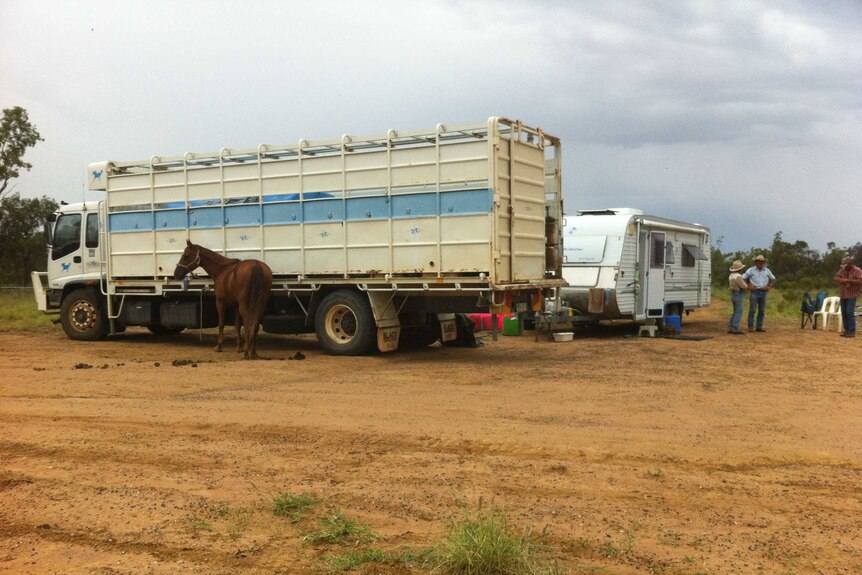 Cattle truck, horse and caravan