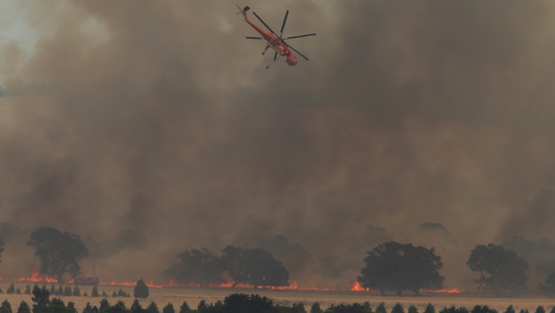 45 homes, thousands of stock lost in Victorian grassfires