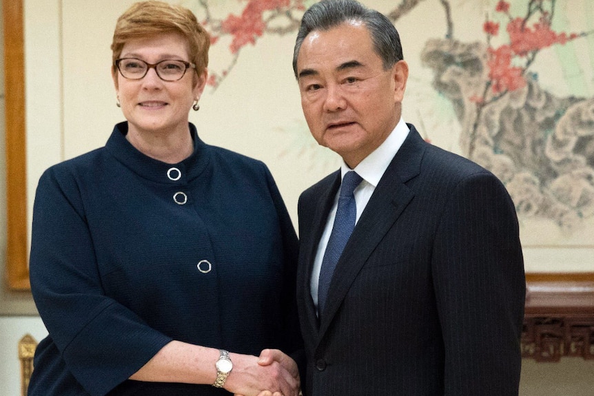 中国外长王毅会晤了澳大利亚新任外长玛丽斯·佩恩（Marise Payne）。