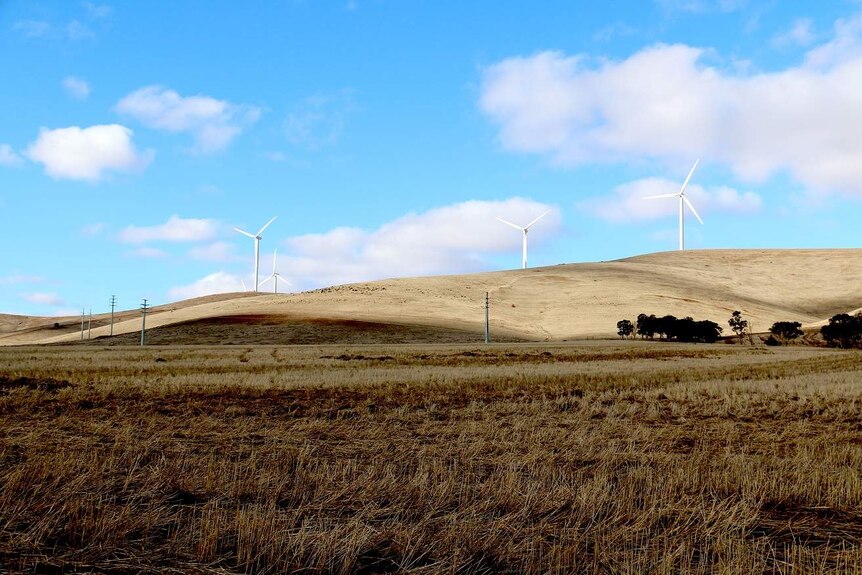 Wind turbines on a hillside outside Snowtown.