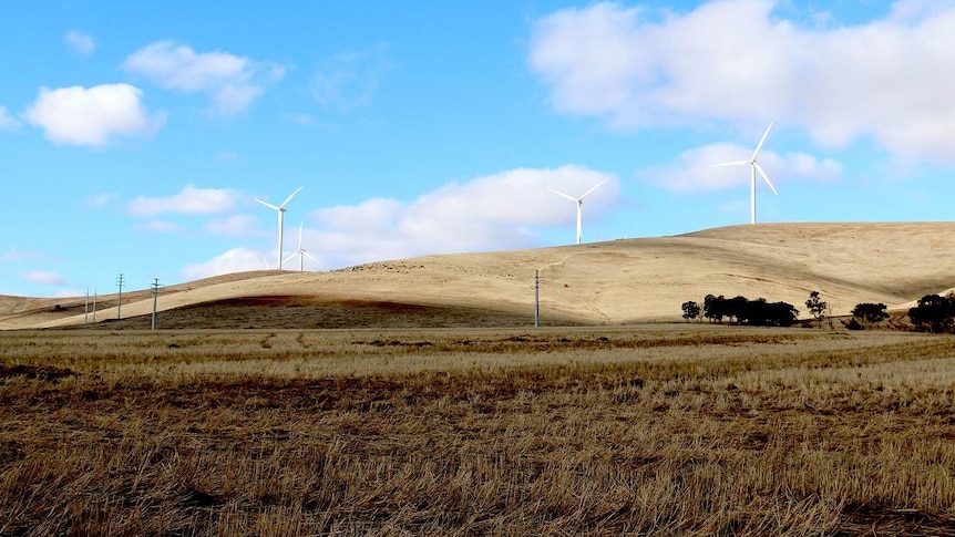 Wind turbines on a hillside outside Snowtown.