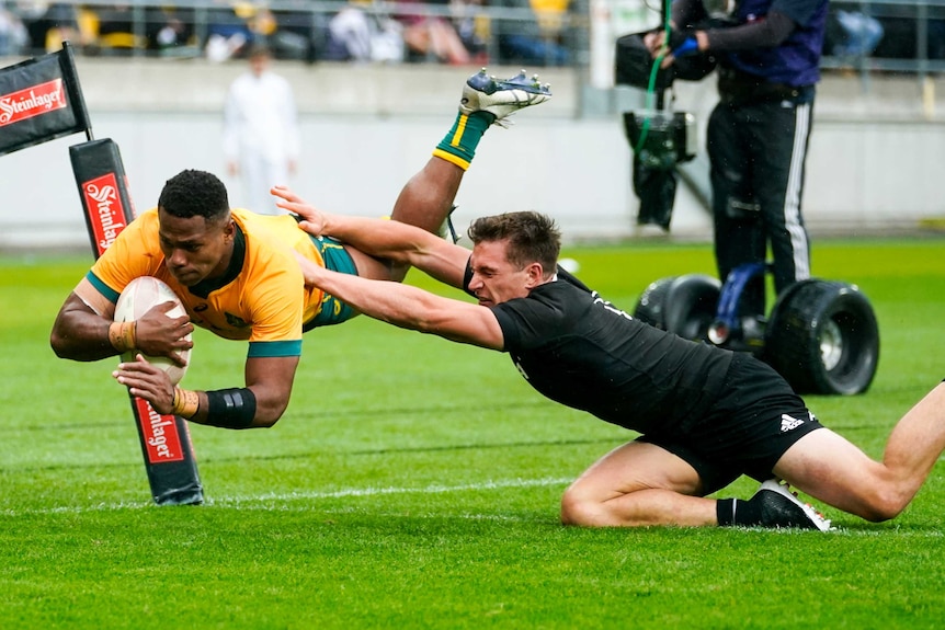 A male Australian Test rugby player dives in the air as he scores a try against the All Blacks.
