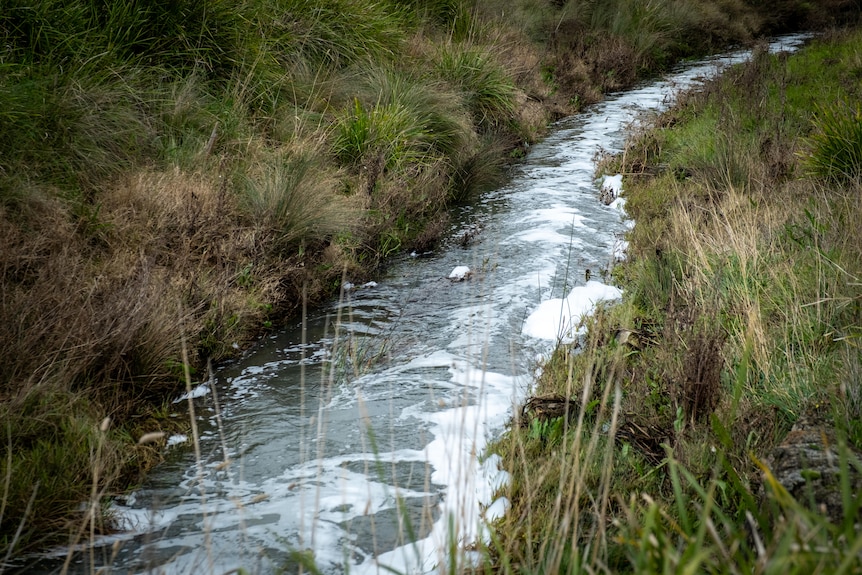 Foam is seen in Laverton Creek, where EPA officers are testing chemical levels