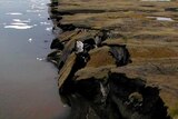 Coastal erosion of mud-rich permafrost.