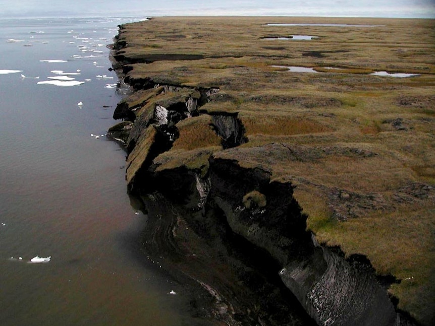 Coastal erosion of mud-rich permafrost.