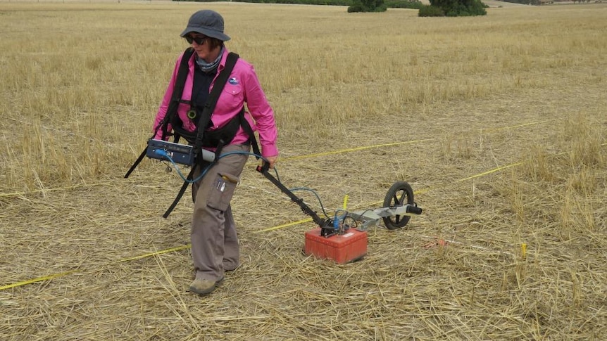 A woman wearing a harness and pulling a machine along the ground in a field