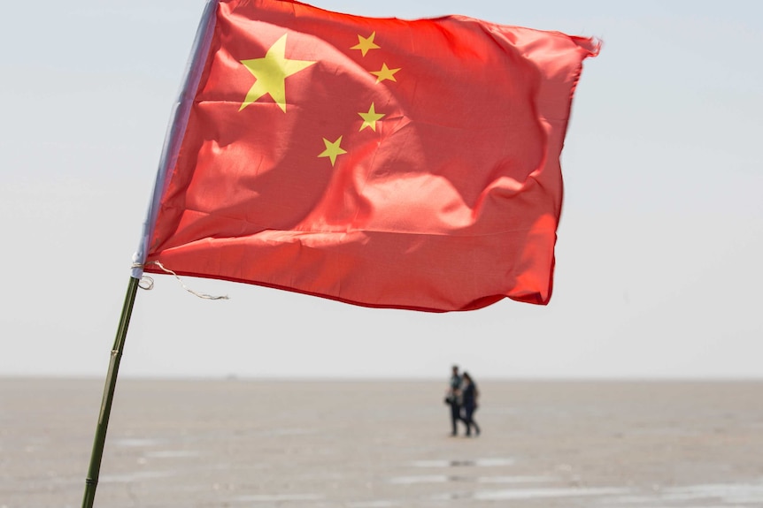 China Flag on Mudflat