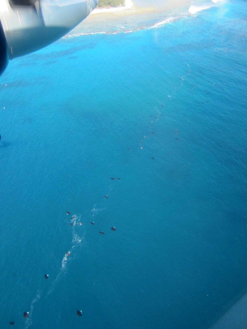 Manta rays swim towards Lady Elliot Island.
