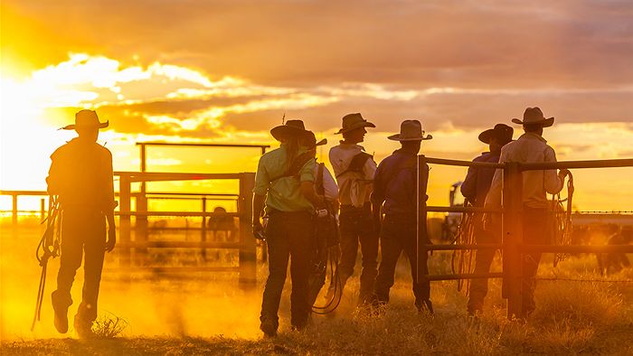 Kennis Campbell, Georgie Whatmore, Ed Ross, Ian Campbell, Aaron Land and Harry Buckley walk into the yards as the sun sets.
