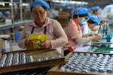 A woman wearing a hair net and apron stands on a factory production line with co-workers assembling speakers