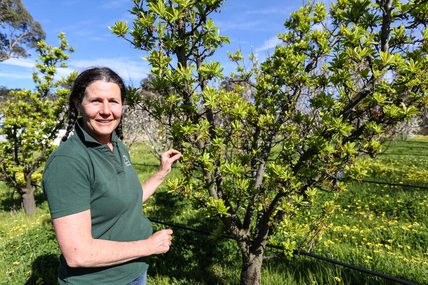Katie Finlay stands in front of her orchard in central Victoria.