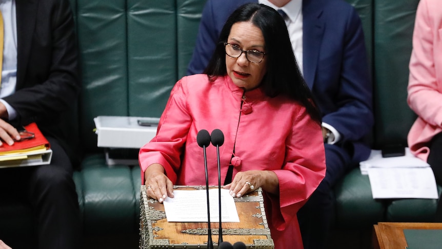 Woman with long black hair wearing a pink jacket speaking in parliament.