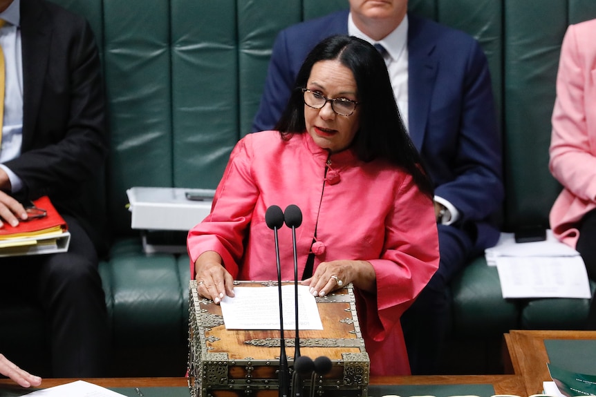 Woman with long black hair wearing a pink jacket speaking in parliament.