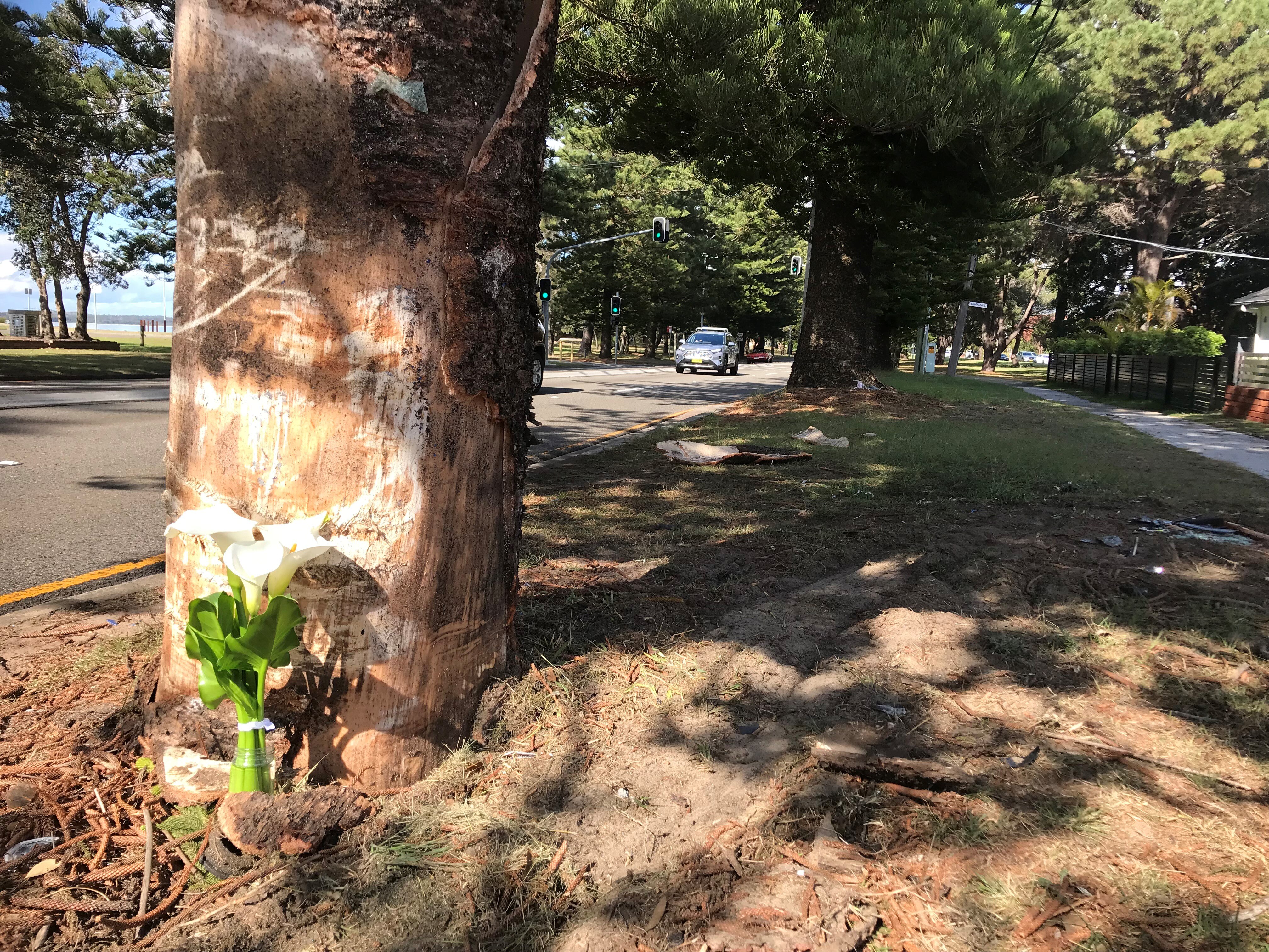 A street with flowers next to a tree 