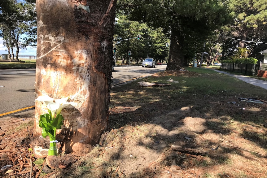 A street with flowers next to a tree 