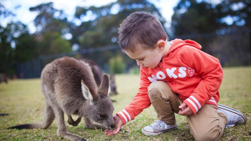 symbio wildlife park