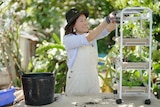 A woman plants a potted herb in a metal trolley.