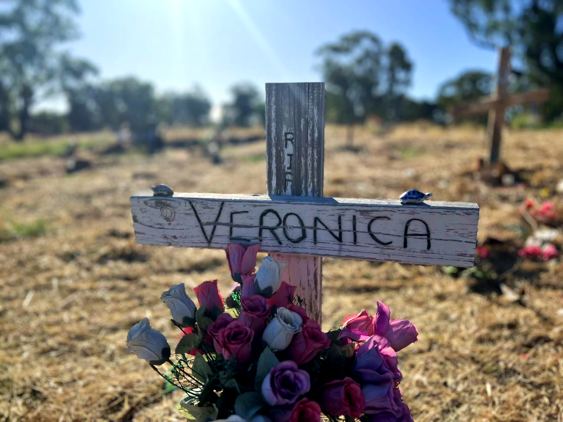 一个白色的十字架上写着“RIP Veronica”，周围有鲜花和乌龟雕像。” class=