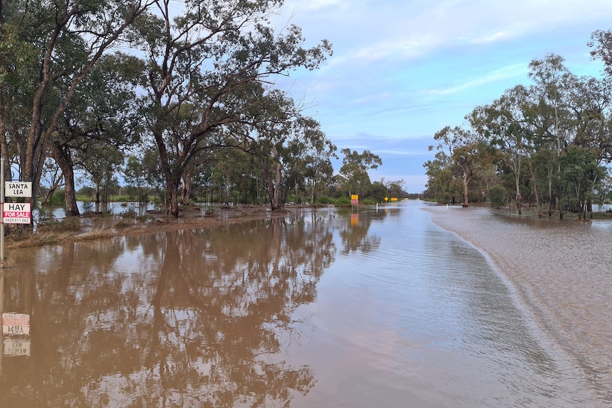 Water over a road with trees in the background