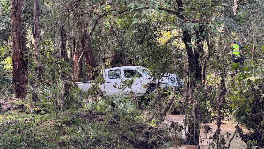 A white ute in a dense forrest next to a creek. The grass around it has been flattened by water.