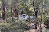 A white ute in a dense forrest next to a creek. The grass around it has been flattened by water.