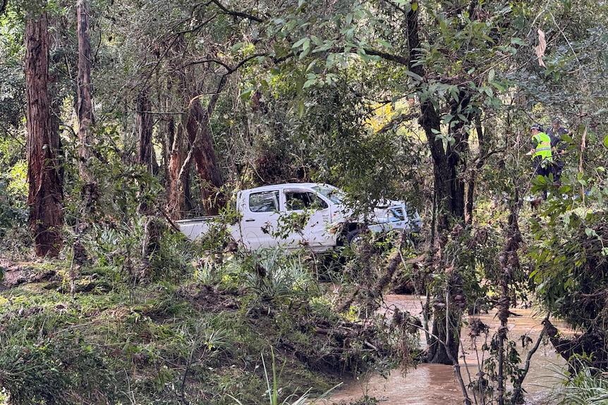 A white ute in a dense forrest next to a creek. The grass around it has been flattened by water.