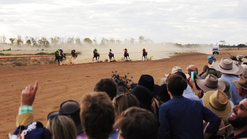 Seven jockeys and horses race into the final straight with orange dust flying behind them.