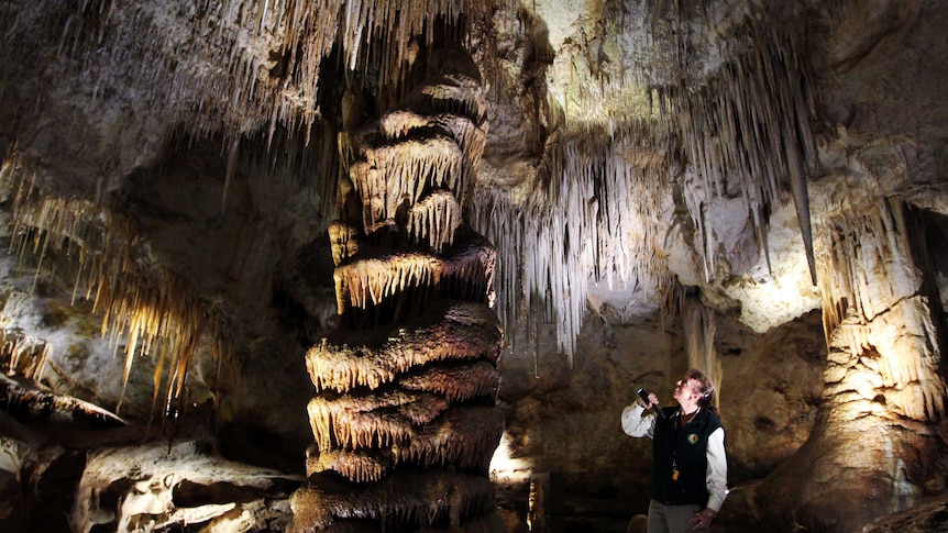 Guide Jacqui Mortensen illuminates the spectacular 'chocolate fountain' formation at the Tantanoola Caves.