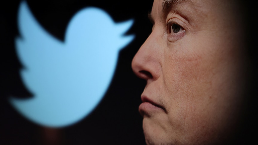 a close up of elon musk's profile, frowning, with the twitter logo in the background against black background