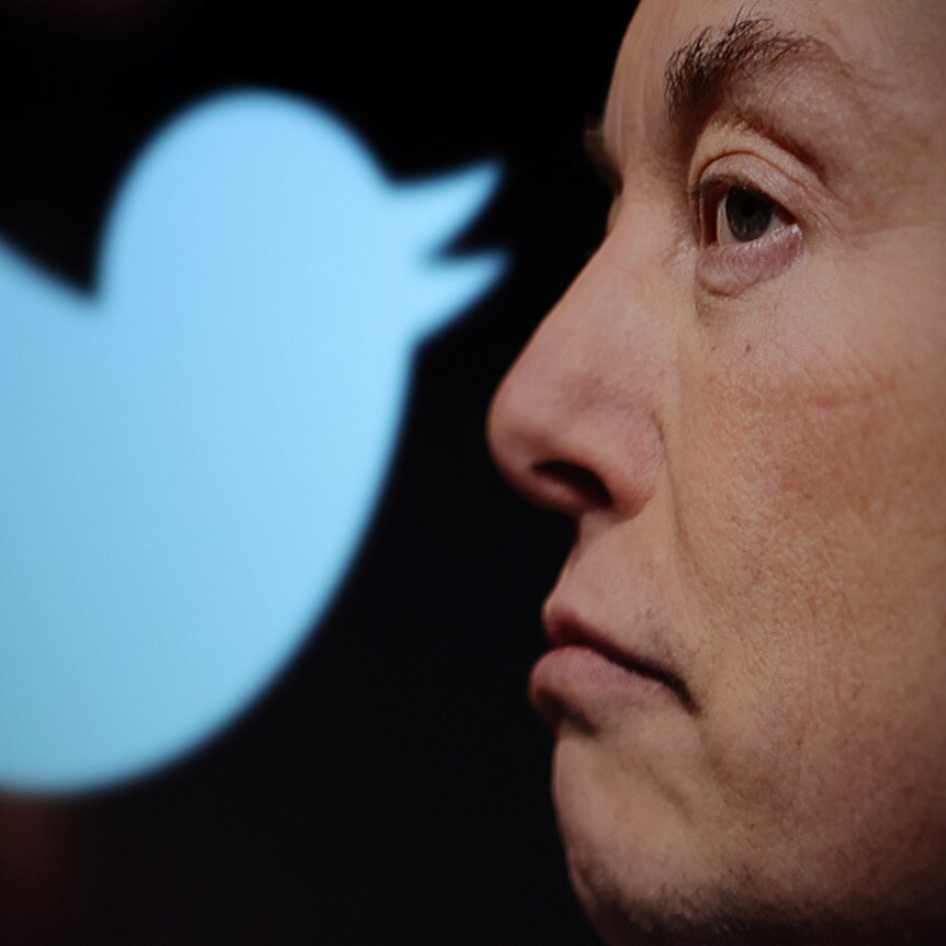 a close up of elon musk's profile, frowning, with the twitter logo in the background against black background